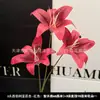 3 Flores de Lirio Simulación 3D Pequeño Libro Rojo Mismo recomendar Boda Decoración de Boda Flor Ventana Fotografía Paisaje