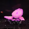 Decoraciones para Acuario Tanque de Peces Plantas Acuáticas Silicona Simulada Efecto Fluorescente - Coral Alfombra Paisajismo Paisajismo Fluorescente