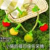 Novo Modelo de Vara Longa para Provocar Gatos com Muitas Frutas, Vara de Provocar Gatos Auto-Entretenimento Estilo Chinês, Brinquedo para Animal de Estimação Atacado Transfronteiriço