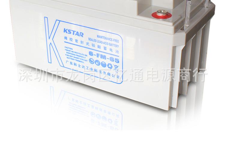 科士达12V65AH..jpg