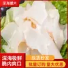Rodajas de Caracol Fragante de Aguas Profundas Corte Original, Rodajas de Caracol Frescas Congeladas, Carne de Caracol, Abulón Comercial, Ingredientes para Hot Pot de Hotel