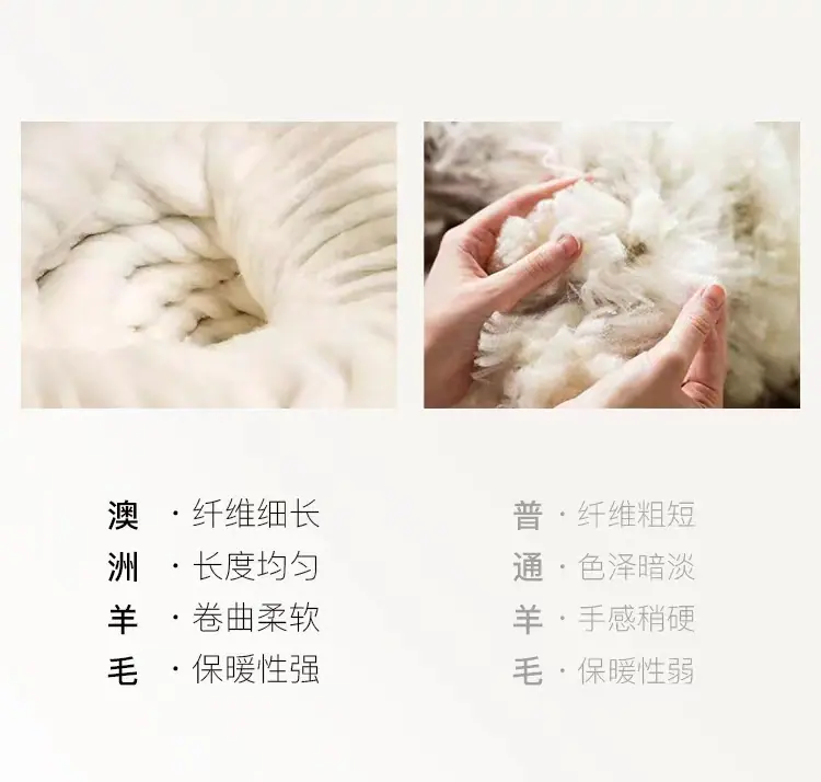 美丽诺羊毛02
