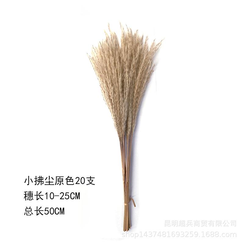 小拂尘原色20支.jpg