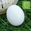 Ovos Simulados: Ovos de Ganso, Ovos de Pato, Ovos de Avestruz, Ovos de Dinossauro, Ovos de Codorna, Ovos Gigantes, Modelos de Ovos Falsos para Exibição