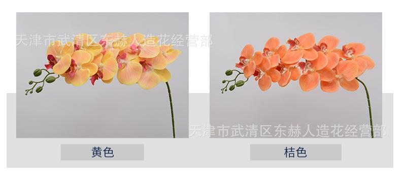 详情_06.jpg