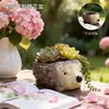 Maceta Suculenta Creativa con Forma de Erizo Lindo Contenedor de Flores de Jardinería Retro Desgastado Decoración de Planta Verde de Escritorio Planta en Maceta Adorno