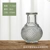 Florero Moderno Simple de Vidrio en Relieve Maceta de Diámetro Pequeño Mini Varios Estilos de Arreglo Floral Arreglo Floral para el Hogar