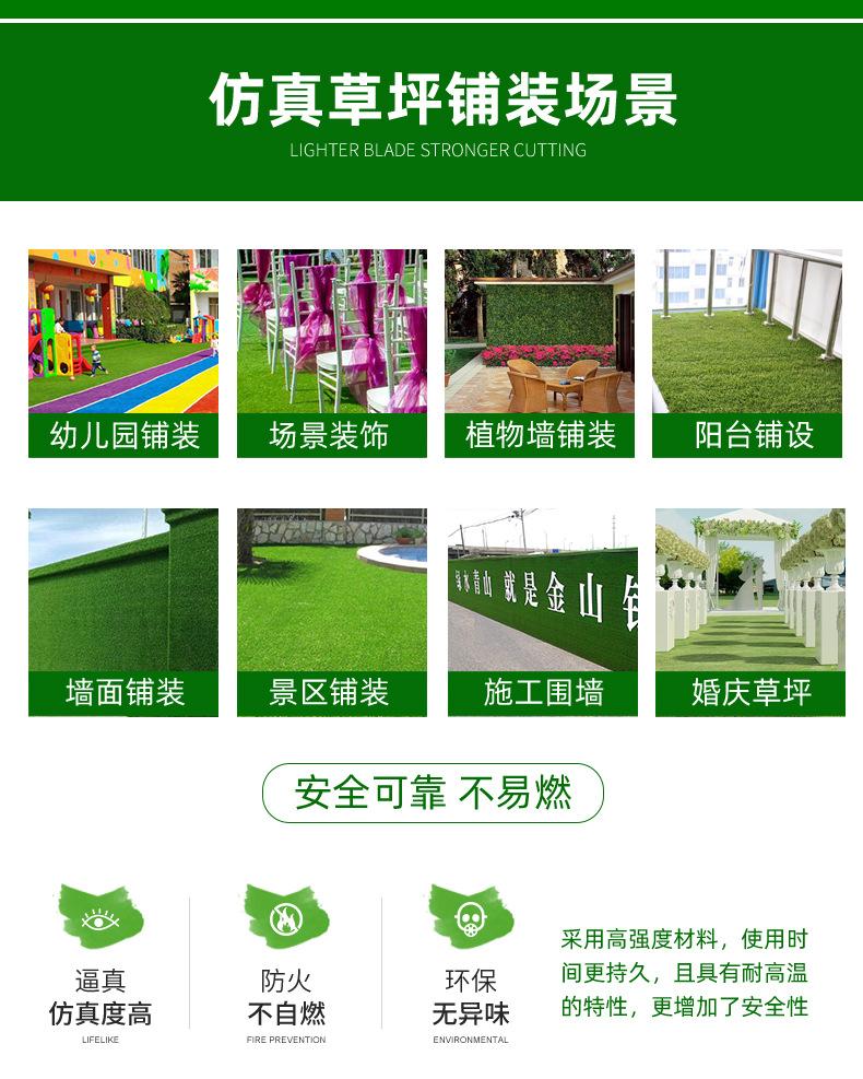 彩色草皮详情_02.jpg