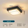 Lámparas de techo para exteriores, impermeables y a prueba de insectos, adecuadas para balcones, patios, pérgolas, pasillos, corredores y entradas exteriores, incluyendo los aleros de las casas.
