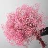 Comercio exterior comercio electrónico transfronterizo Amazon explosiones base de Yunnan bebé inmortal gypsophila flores secas ramo de gypsophila para bebé