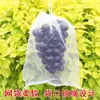 Saco de Malha Protetor para Frutas, Espessado, Anti-Pássaros, Anti-Insetos, Durável, Lavável, Respirável, Ecológico, Não Abafado