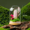 Columna de Cristal Natural Transfronteriza Cubierta de Vidrio Adornos de Flores Eternas Cristal Morado y Amarillo Rosa Micro Paisaje Decoración de Escritorio Venta al por Mayor