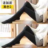 Pacote com 2 Meias Nove Pontos Femininas Primavera Outono Meia-Calça de Seda Média-Grossa Leggings Femininas Roupa Externa Anti-Puxão Fina