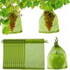 Bolsa de Malla Protectora de Frutas Uva Fresa Transfronteriza a Prueba de Pájaros e Insectos Bolsa de Malla Bolsa de Plantación Bolsa de Semillas Mancha