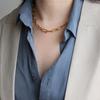 Xl247 Cadena Básica Versátil Europea y Americana Cadena Gruesa Pesada Collar Otoño e Invierno Cadena Corta Sudadera con Acero de Titanio Oro y Plata