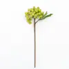 Europa y Estados Unidos transfronterizos horquilla única simulación rama de baya rama de frijol verde fruto de acacia material para arreglo floral de boda utilería fotográfica