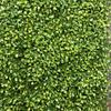 Valla de Césped Ignífuga Retardante de Llama Muro de Plantas de Simulación Muro de Plantas Verdes Valla de Muro Decorativo de Jardín Césped de Eucalipto Milan