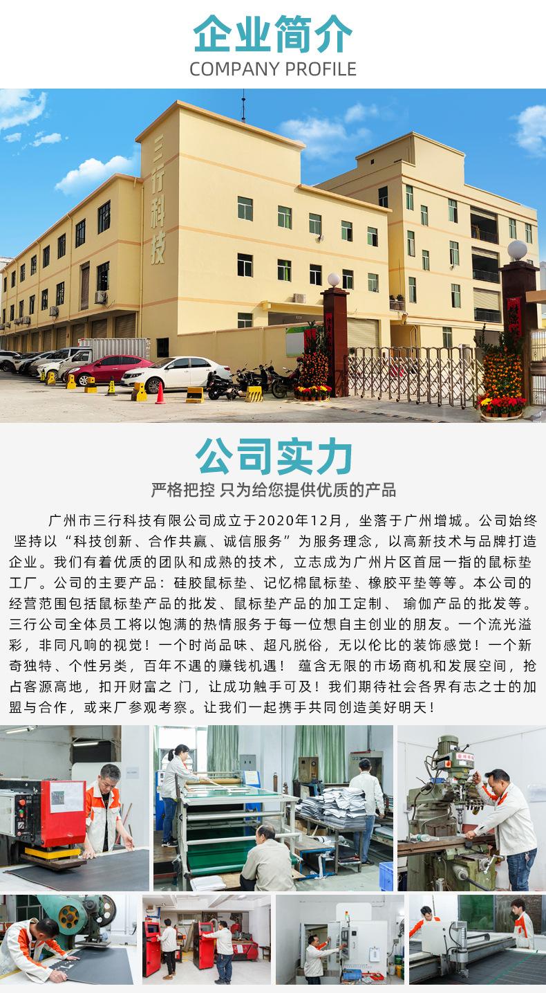 12 公司简介 2.jpg