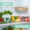 Desodorizador de geladeira, caixa removedora de odores, purificador, limpador, esterilizador, purificador de grau alimentício, desinfetante especial para geladeiras domésticas