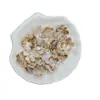 Concha de 20mm Flor de Seis Pétalas Bicolor Pulseira DIY Corrente de Celular Pingente para Carro Acessórios com Contas Atacado para Celebridades da Internet