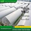 Estufa da Mongólia Interior esqueleto vegetal estufa plantio estufa q235b galvanizado estufa única galpão exportação