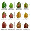 Hoja de Palma Roja Pequeña Plantas Verdes Artificiales Hojas Artificiales Accesorios DIY Boda Decoración del Hogar Hojas de Cinta de Ratán