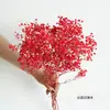 Buquê de Flores Secas Gipsofila Decoração de Sala de Estar Arranjo Floral Material DIY Flor Imortal de Yunnan Decoração com Flores Reais