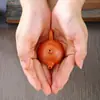 Mini Juego de Té de Arcilla Púrpura, Tetera Pequeña Xishi, Tres Tazas, Bandeja de Té, Juego de Té Kung Fu, Juego de Té para Niños, Regalo de Té Portátil para el Hogar