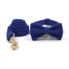 Collar para mascotas con hebilla dorada y lazo de cuerda de tracción, cofre y taburete para perro, lote transfronterizo.