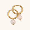 Pendientes de Perla de Agua Dulce Dorados Simples de Venta Caliente Transfronterizos Europeos y Americanos Pendientes Chapados en Acero Inoxidable 18K Joyería Exquisita