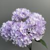 Flores Artificiales de Mini Hortensia de 5 Cabezas Transfronterizas, Materiales Florales para Bodas, Arreglo Floral de Pasillo, Flores Falsas, Arte Floral para Decoración de Bodas