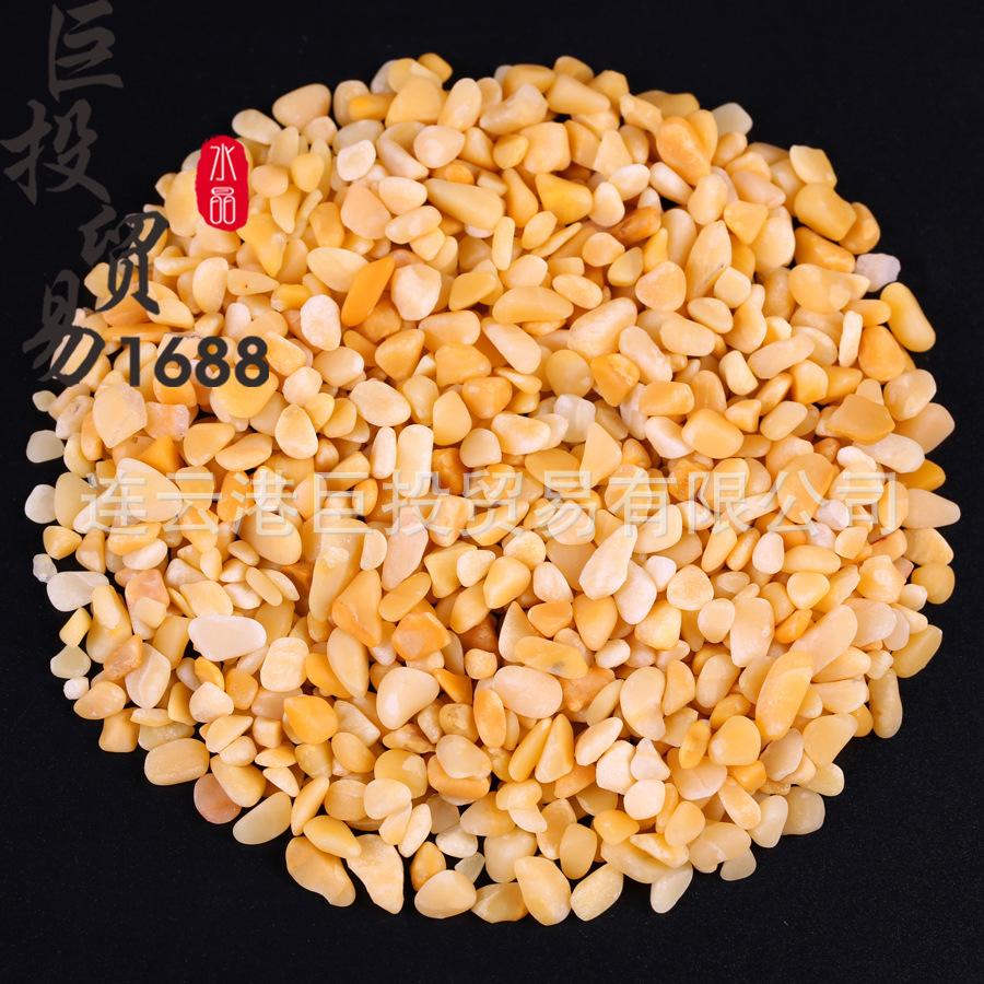479A8411副本.jpg