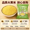 Arroz rhuagang del noreste al por mayor nuevo arroz rhuagang pegajoso arroz glutinoso envuelto zongzi mijo de granja amarillo pegajoso amarillo pegajoso suave