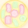 Série de Vegetais em Conserva Molde para Biscoito Garrafa Desenho Animado 3D Molde para Biscoito DIY Pepino Fatias de Pepino Impressão Realista