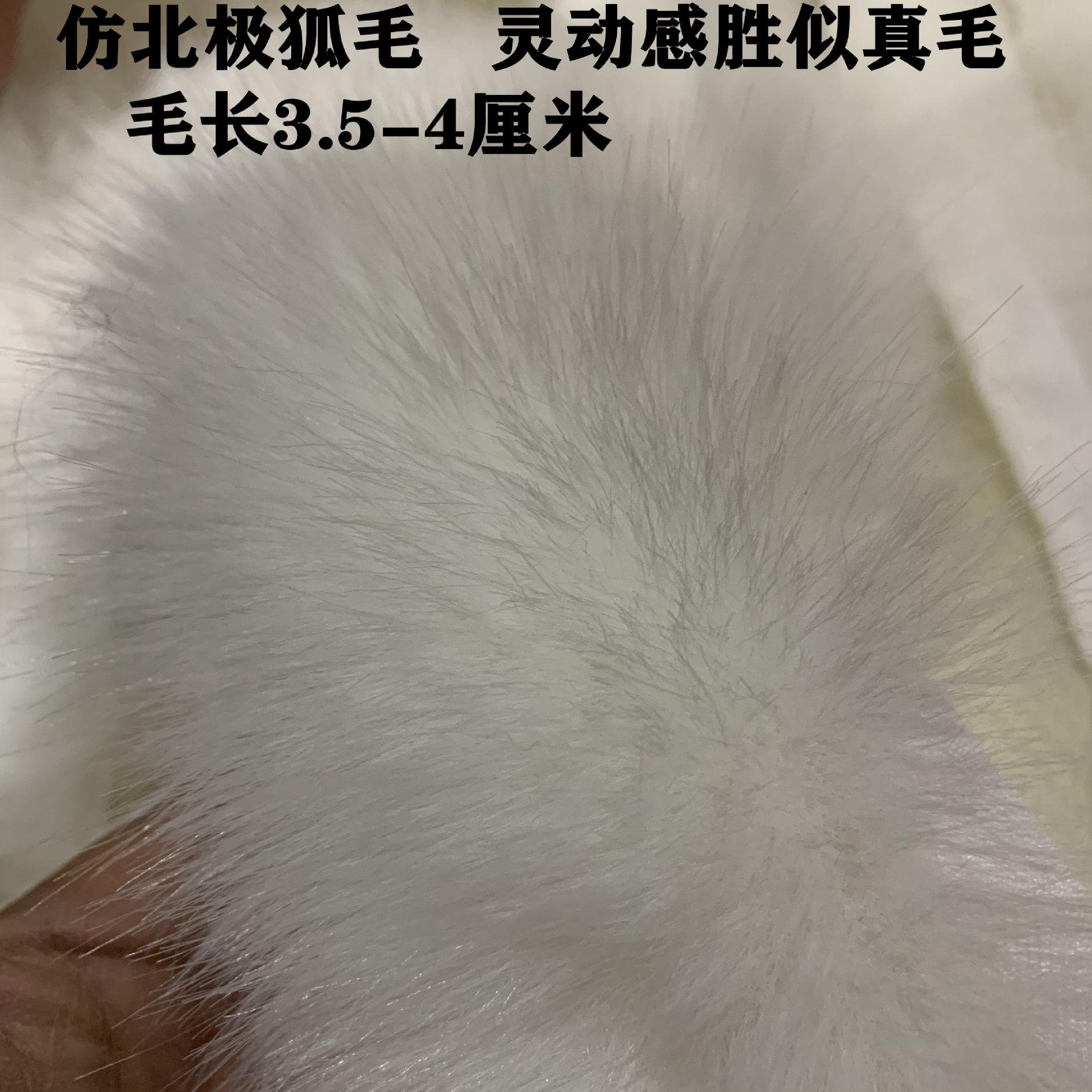 微信图片_20221112080511_副本