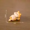Micro Paisagem Criativa Fofa Gatinho Gorducho Estatueta Caixa Surpresa Casa de Bonecas Acessórios de Decoração Carro Mesa Pequenos Enfeites