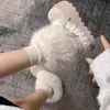 Botas de Neve Brancas Retrô com Solado Grosso e Forro de Lã para Mulheres, Novo Modelo 2026, Sapatos de Algodão Quentes de Inverno para Exterior Estilo Birkenstock