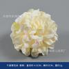 Flor artificial color champaña flor rosa estilo europeo ramo DIY ramo de novia caja de flores flor decorativa tocado accesorios de fotografía