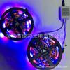 Tira de luz RGB de 12v 10 m 20 m led2835 exterior control remoto de 44 teclas atmósfera colorida de carrera de caballos set