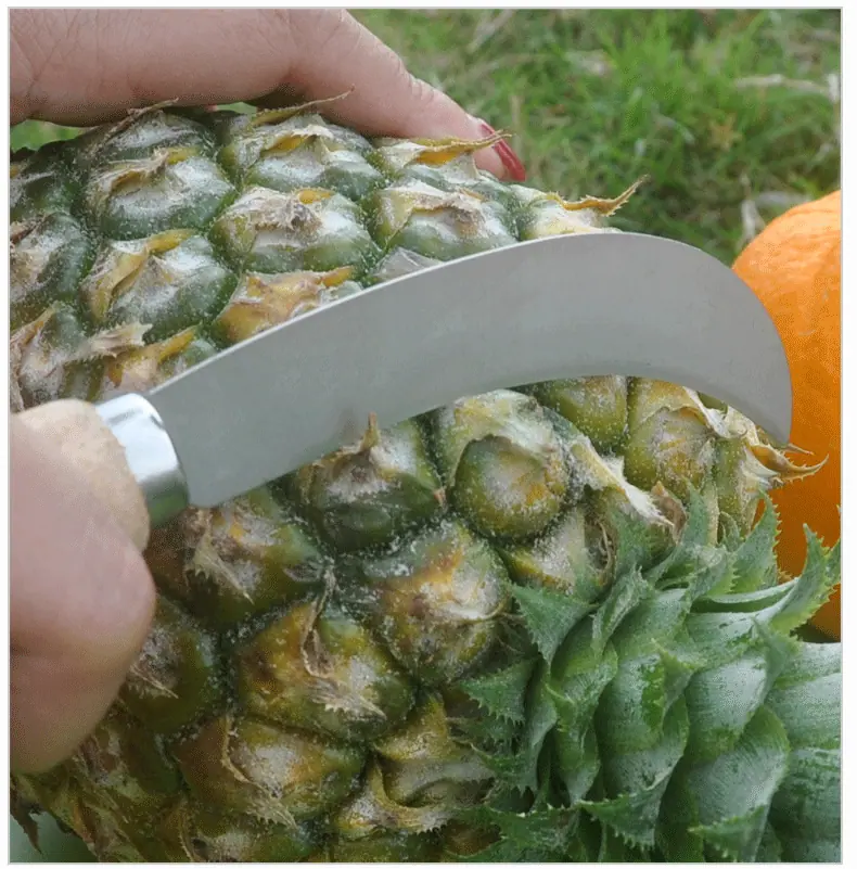 沙光小弯刀_07.gif