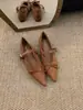 Zapatos Mary Jane de Corte Bajo con Punta Aguda, Estilo de Temporada 'Primer Encuentro', Ante, Tacón Interno Bajo, Moño para Mujer 2026 Nuevo Suela Suave