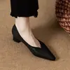 Sapatos femininos retrô de salto alto estilo francês, novidades primavera e outono 2026, versáteis, de corte baixo, com salto grosso, bico macio, corte em V, bico fino