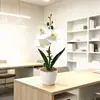 Estilo Nórdico Orquídea Phalaenopsis Artificial Bonsai Decoração de Casa de Plástico Flor Artificial Planta em Vaso Adereço para Fotografia de Casamento