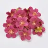 Simulación de pétalos de flor de cerezo pequeños mini corona de flores de seda accesorios de clip decoración de boda para el hogar cabeza de flor artificial