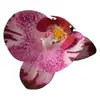 Flor de Falenopsis Individual Simulada 3D de Alta Gama PU Dorado Púrpura DIY Accesorios para Pared de Flores de una Sola Cabeza Material Floral Flor Artificial