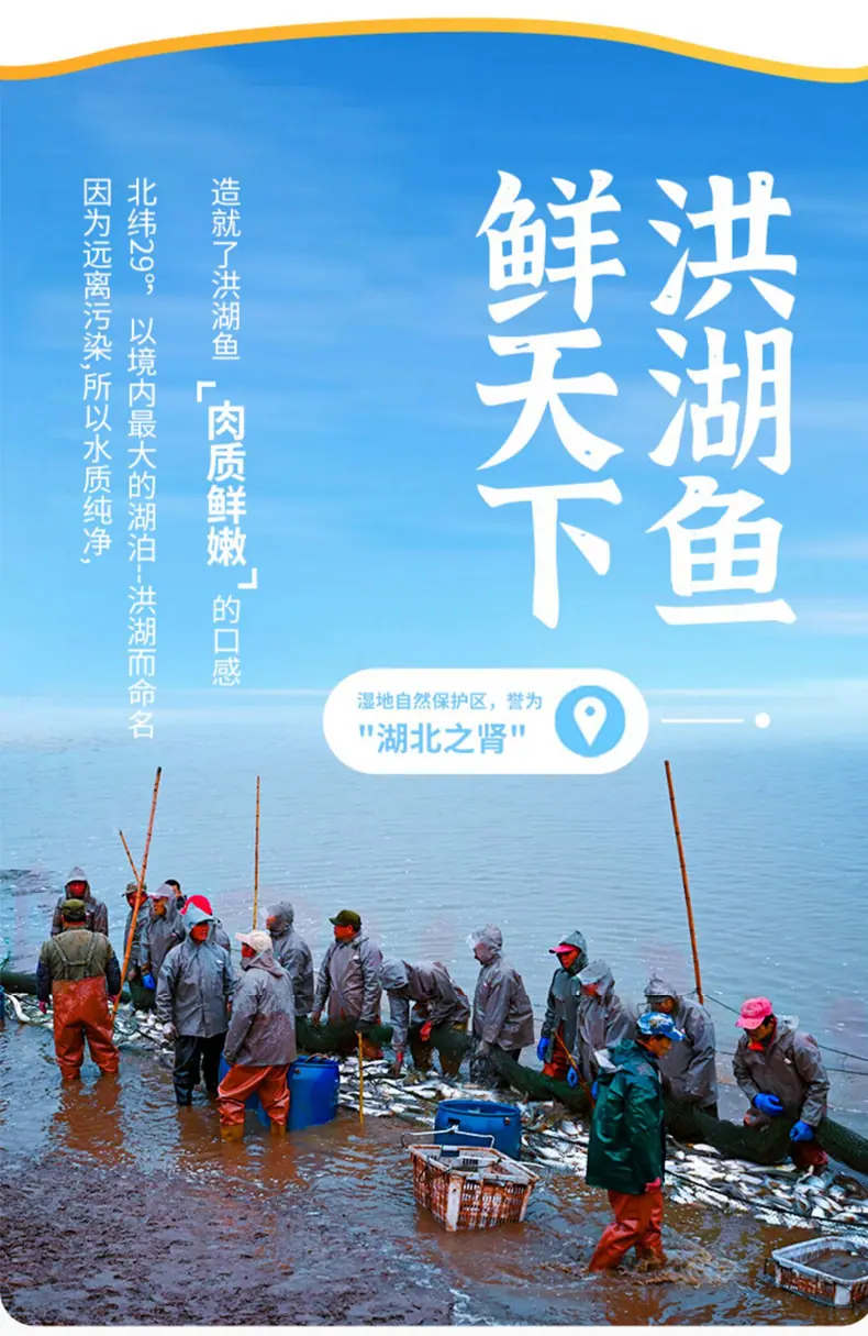 剁椒鱼头_04.jpg