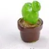 Un terrario de musgo, decoración de botella ecológica, manualidad de resina DIY, adorno de suculenta, artículo decorativo