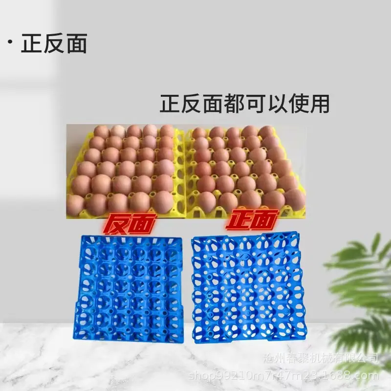 鸡蛋托正反面介绍.jpg