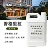 Líquido de Recarga para Difusor de Aroma de Hotel Tipo Barril de Gran Capacidad Máquina de Aroma Aceite Esencial a Base de Aceite Líquido de Recarga para Difusor de Aroma Doméstico Botella Grande