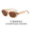 Gafas de Sol Ovaladas de Nuevo Estilo para Mujer, Gafas de Sol de Alta Gama de Moda Coreana Trendy para Hombre, Gafas con Protección UV de Alto Valor